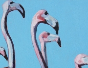 Anegada Flamingos 3 thumb Acrylic Ingrid Manzione